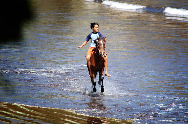 Lokal dreng p sin hest i galop ned ad stranden.