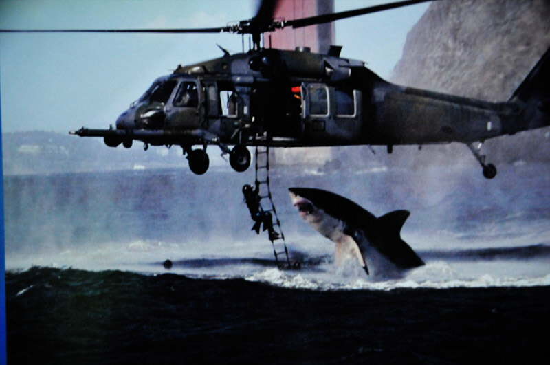 Shark attack. Foto fra Kelly Tarltons.